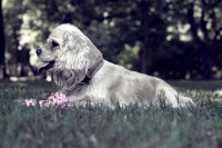 /album/fotogaleria/img-0214-jpg/