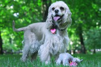 /album/fotogaleria/img-0216-jpg/