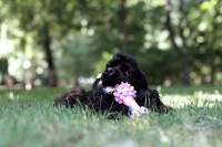 /album/fotogaleria/img-0232-jpg/