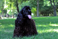 /album/fotogaleria/img-0239-jpg/