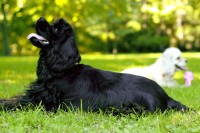 /album/fotogaleria/img-0242-jpg/