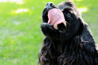 /album/fotogaleria/img-0251-jpg1/