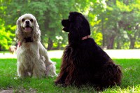 /album/fotogaleria/img-0260-jpg/