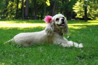 /album/fotogaleria/img-0443-jpg1/