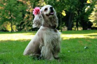 /album/fotogaleria/img-0448-jpg/