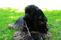 /album/fotogaleria/img-0466-jpg/