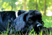 /album/fotogaleria/img-0469-jpg/