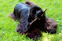 /album/fotogaleria/img-0494-jpg/