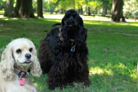 /album/fotogaleria/img-0528-jpg/