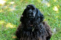 /album/fotogaleria/img-0550-jpg/